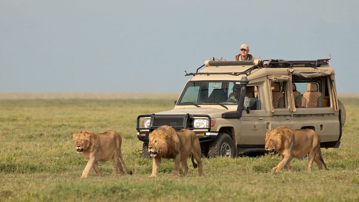 Africa Experiences