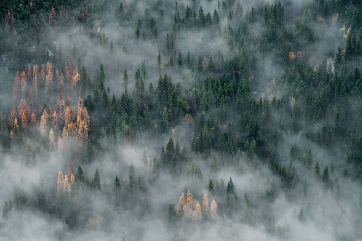 Road-trip photography stops